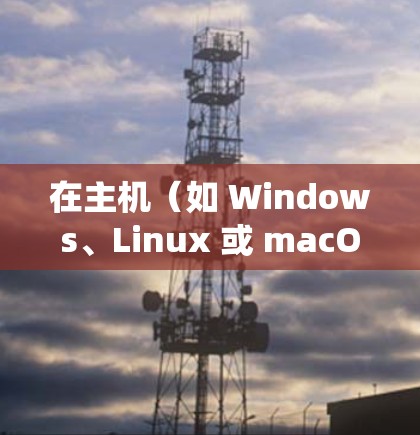 在主机（如 Windows、Linux 或 macOS 计算机）上挂载（连接）VPN 的步骤如下，具体操作因操作系统和 VPN 类型而异